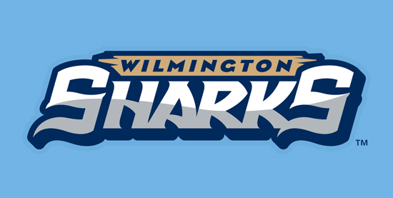 Wilmington Sharks 2014-Pres Wordmark Logo iron on transfers for clothing